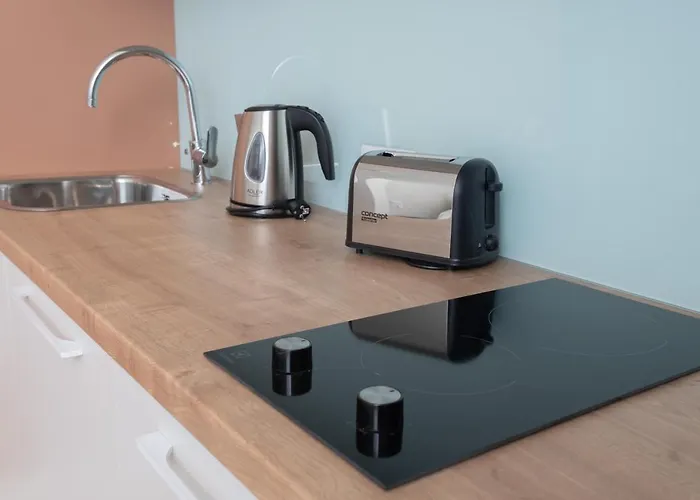 Dandelion Stabu Apartment