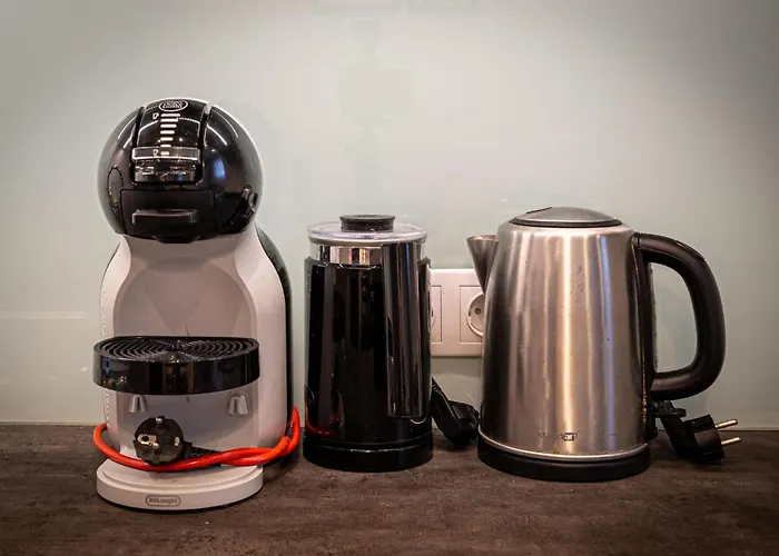 Dandelion Stabu Riga