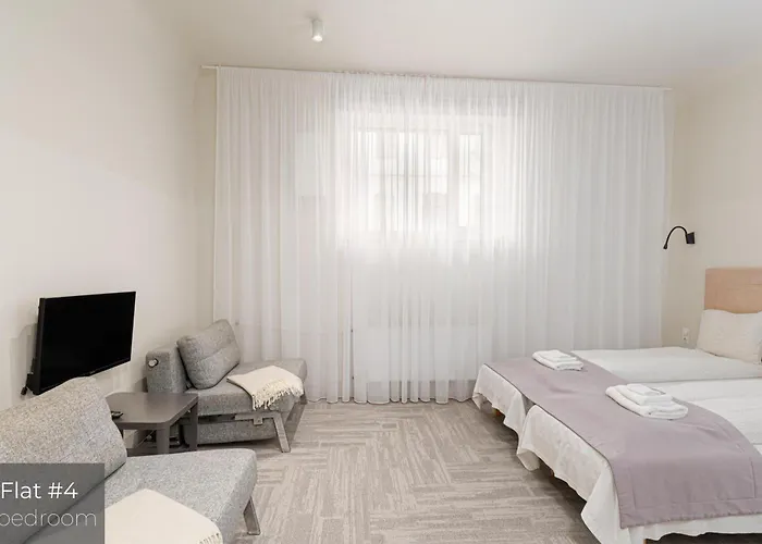 Dandelion Stabu Apartment Riga